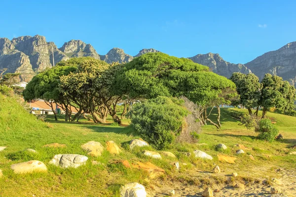 Camps Bay Cidade do Cabo — Fotografia de Stock