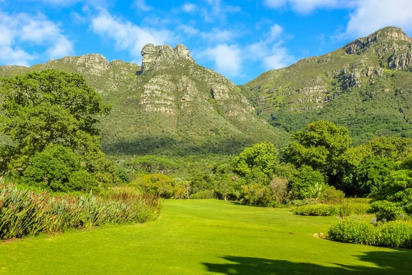 KIRSTENBOSCH Botanik Bahçesi