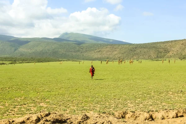 马赛部落坦桑尼亚 — 图库照片