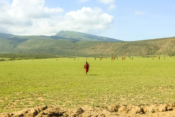 Tribu Masai Tanzania — Foto de Stock