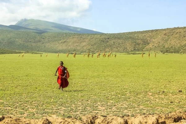 Joven tribu Masai — Foto de Stock