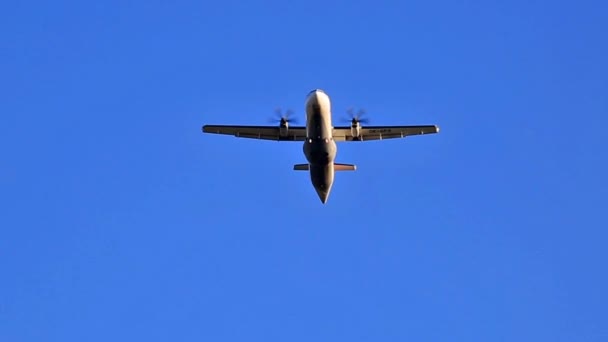 Samolot dwusilnikowy samolot turbośmigłowy — Wideo stockowe