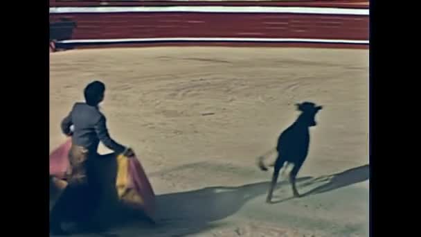 Ibiza giovane torero — Video Stock