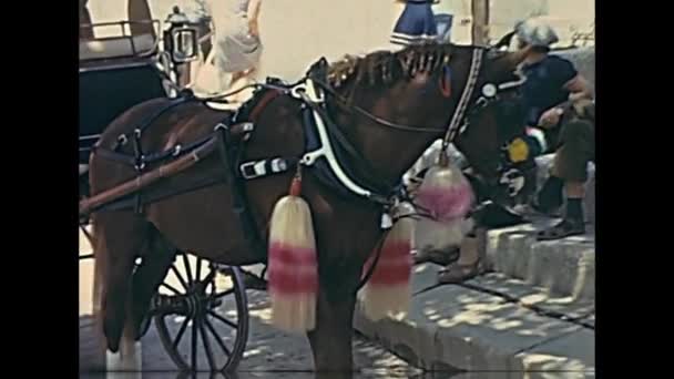 Chariots à chevaux Mdina — Video