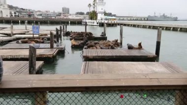 Rıhtım 39 San Francisco