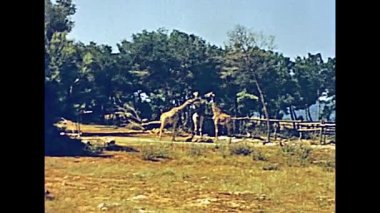 Safari Hayvanat Bahçesi Mayorka