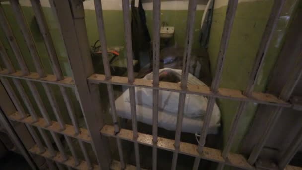 Pintor de Alcatraz Doc cell — Vídeo de Stock