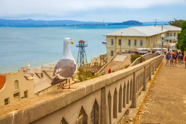 Alcatraz San Francisco — Stok fotoğraf