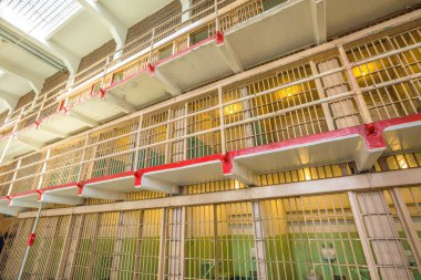 Alcatraz ana hücreleri