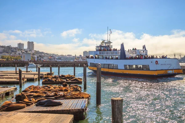 Pier 39 Paseo en barco — Foto de Stock