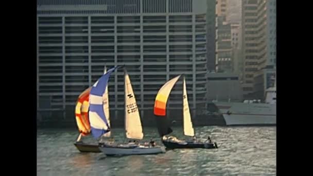 Hong Kong sail boats — Stock Video