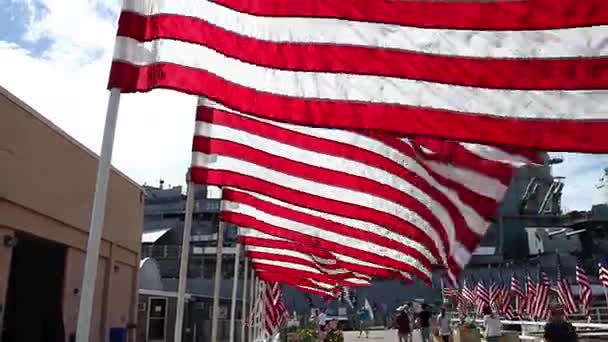 Drapeaux commémoratifs du Bataillon du Missouri — Video