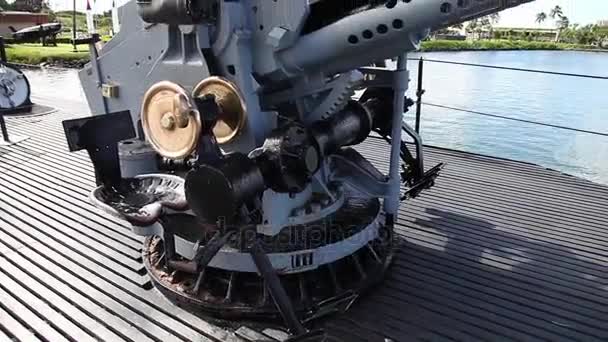Pearl Harbor makineli tüfek — Stok video