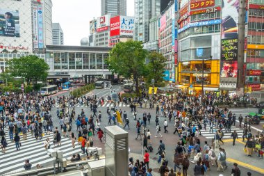 Shibuya geçiş Tokyo