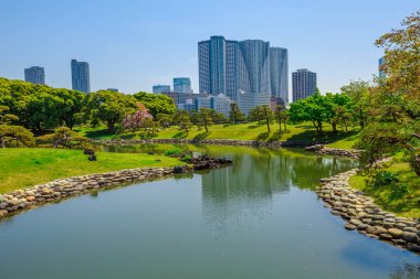 Hamarikyu bahçeleri Tokyo