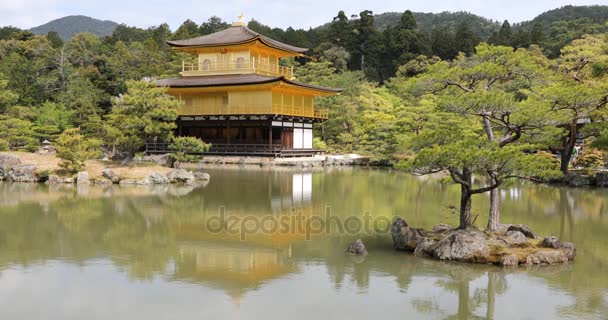 Pavilhão Dourado Kyoto — Vídeo de Stock