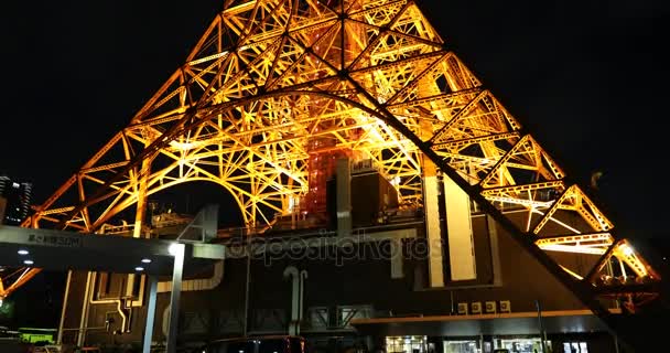 Tokyo tower Japonya — Stok video