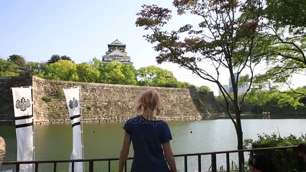 Турист в замке Осака — стоковое видео
