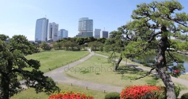 Hamarikyu bahçeleri Shiodome binalarda