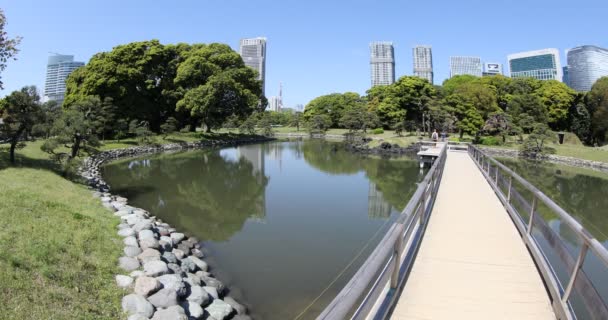 Сади Hamarikyu в Токіо — стокове відео