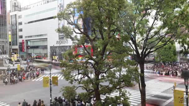 Shibuya Crossing antenn — Stockvideo