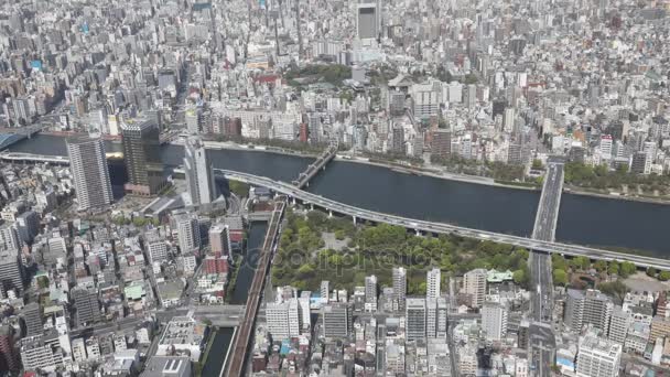 Skyline di Tokyo e Sumida River — Video Stock