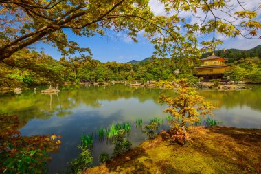 Kinkakuji Tapınağı Kyoto
