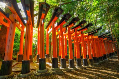 Fushimi Inari Kyoto