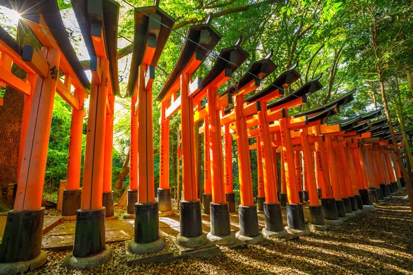 Fushimi Inari Kioto — Foto de Stock