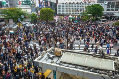 Tokyo Shibuya geçiş