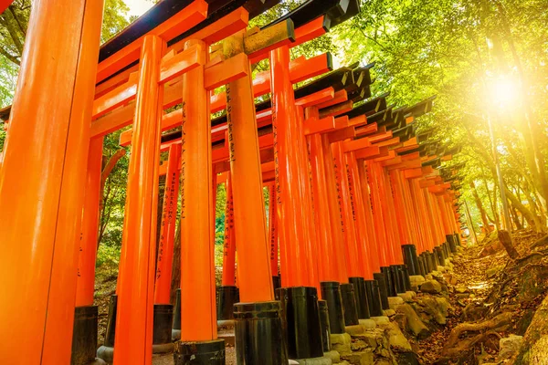 Puertas de Torii Kyoto — Foto de Stock