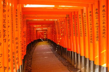 Fushimi Inari Torii kapıları