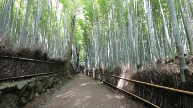 Bambu grove Arashiyama