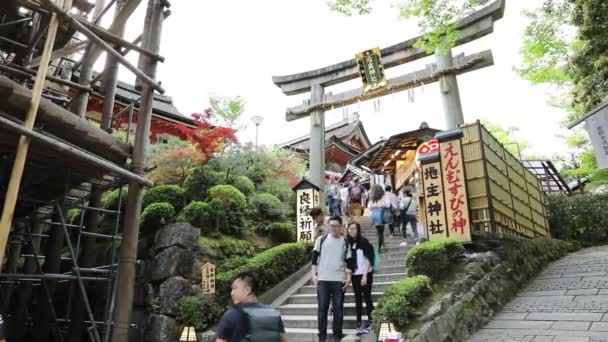 Jishu Jinja tempel torii poort — Stockvideo