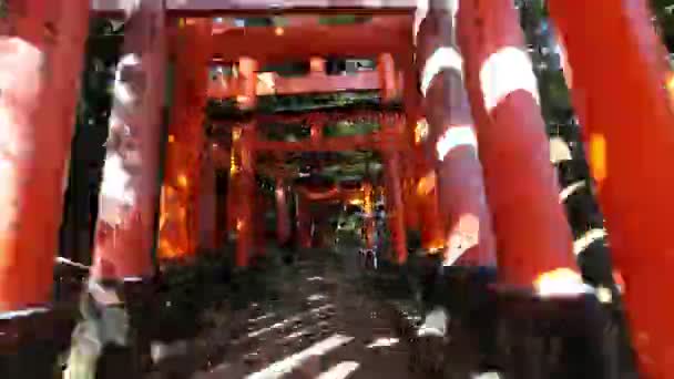 Fushimi Inari hyperlapse — Stockvideo