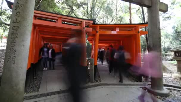 Fushimi Inari lapso de tiempo — Vídeo de stock