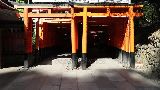 Senbon Torii Fushimi Inari — Stockvideo
