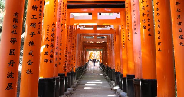 Travellers in Fushimi Inari tunnel — Stock Video