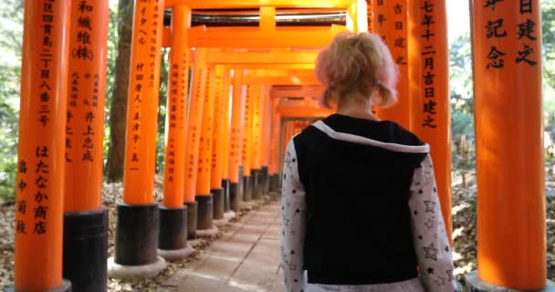 伏见 Inari 吉大社女人 — 图库视频影像