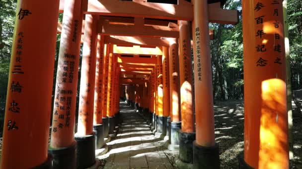 Fushimi Inari uitgevoerd — Stockvideo