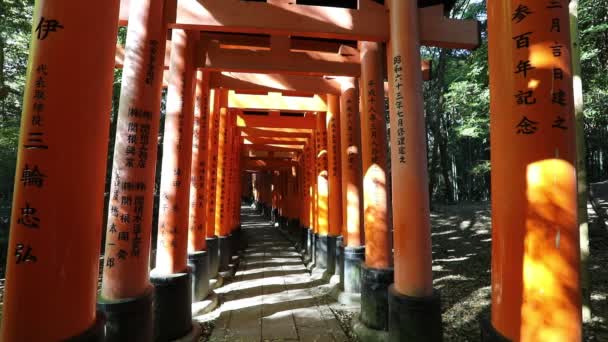 Fushimi inari läuft — Stockvideo