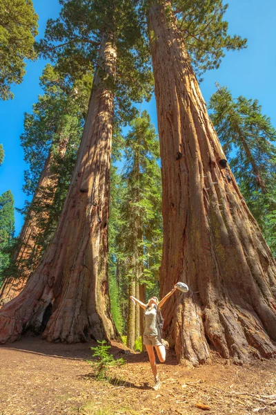 Resenärskvinna i Sequoia Park — Stockfoto