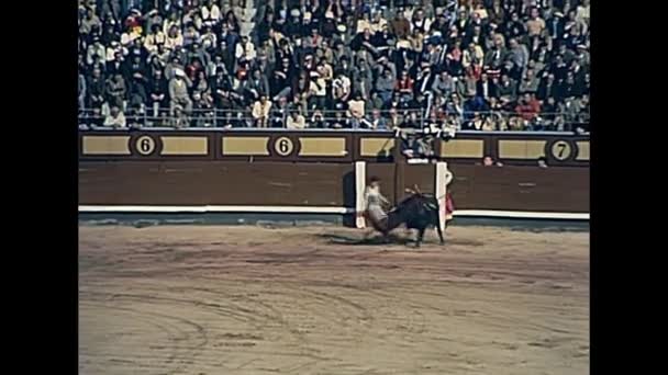 Końcowe bull zabijania — Wideo stockowe