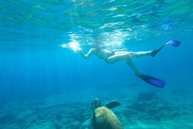 Deniz kaplumbağası ile snorkeler