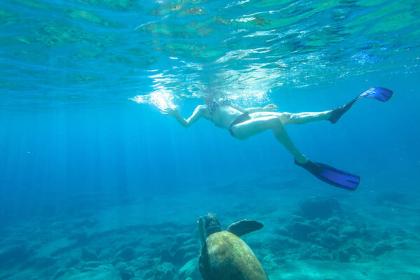 Ныряльщик с морской черепахой
