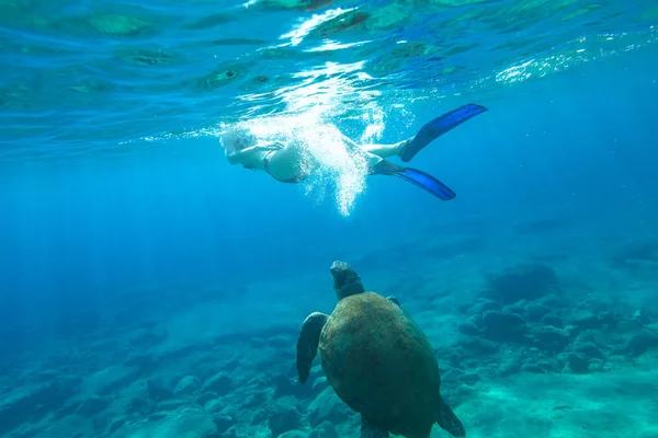 Tuba femelle tortue de mer — Photo