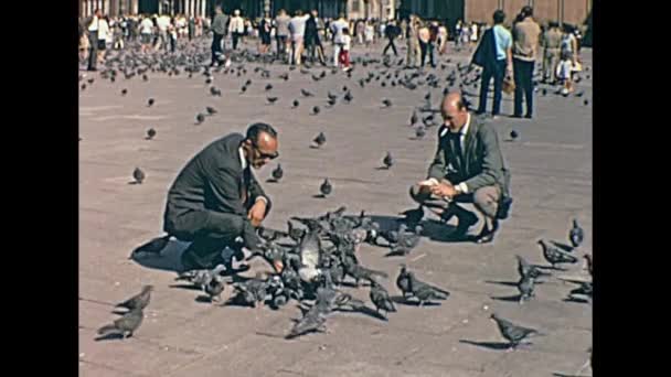 Palomas de San Marco — Vídeo de stock