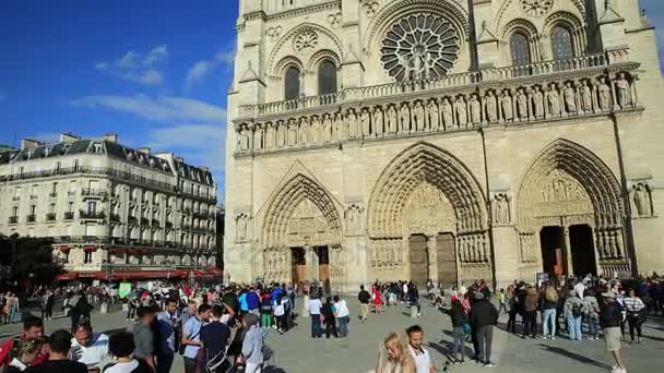 Notre Dame Meydanı — Stok video