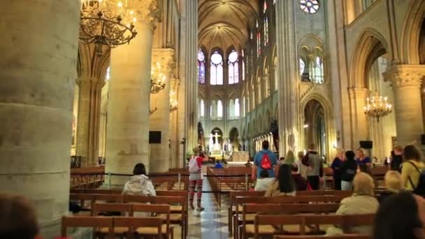 POV zu Fuß Notre Dame — Stockvideo