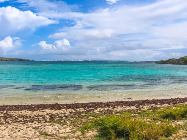 Guadeloupe Adası Caribbean